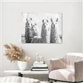 Picture of Llama Fam _GroupedProduct_Rectangle_Landscape_Photography _GroupedProduct_Rectangle_Landscape_Unframed_Print_Only_