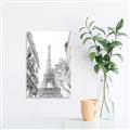 Picture of Paris in the Fall _GroupedProduct_Rectangle_Portrait_Photography _GroupedProduct_Rectangle_Portrait_Unframed_Print_Only_