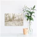 Picture of Branching off _GroupedProduct_Rectangle_Landscape_Photography _GroupedProduct_Rectangle_Landscape_Unframed_Print_Only_