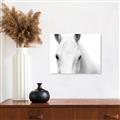 Picture of White horse _GroupedProduct_Rectangle_Landscape_Photography _GroupedProduct_Rectangle_Landscape_Unframed_Print_Only_