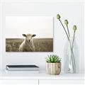 Picture of One and Only _GroupedProduct_Rectangle_Landscape_Photography _GroupedProduct_Rectangle_Landscape_Unframed_Print_Only_
