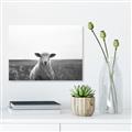 Picture of One and Only _GroupedProduct_Rectangle_Landscape_Photography _GroupedProduct_Rectangle_Landscape_Unframed_Print_Only_