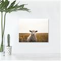 Picture of One and Only _GroupedProduct_Rectangle_Landscape_Photography _GroupedProduct_Rectangle_Landscape_Unframed_Print_Only_
