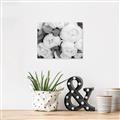 Picture of White Blooms _GroupedProduct_Rectangle_Landscape_Photography _GroupedProduct_Rectangle_Landscape_Unframed_Print_Only_