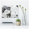 Picture of White Blooms _GroupedProduct_Rectangle_Landscape_Photography _GroupedProduct_Rectangle_Landscape_Unframed_Print_Only_