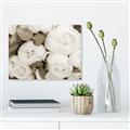 Picture of White Blooms _GroupedProduct_Rectangle_Landscape_Photography _GroupedProduct_Rectangle_Landscape_Unframed_Print_Only_