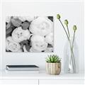Picture of White Blooms _GroupedProduct_Rectangle_Landscape_Photography _GroupedProduct_Rectangle_Landscape_Unframed_Print_Only_