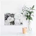 Picture of White Blooms _GroupedProduct_Rectangle_Landscape_Photography _GroupedProduct_Rectangle_Landscape_Unframed_Print_Only_
