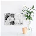 Picture of White Blooms _GroupedProduct_Rectangle_Landscape_Photography _GroupedProduct_Rectangle_Landscape_Unframed_Print_Only_