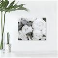 Picture of White Blooms _GroupedProduct_Rectangle_Landscape_Photography _GroupedProduct_Rectangle_Landscape_Unframed_Print_Only_