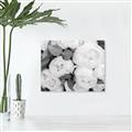 Picture of White Blooms _GroupedProduct_Rectangle_Landscape_Photography _GroupedProduct_Rectangle_Landscape_Unframed_Print_Only_