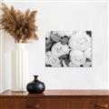 Picture of White Blooms _GroupedProduct_Rectangle_Landscape_Photography _GroupedProduct_Rectangle_Landscape_Unframed_Print_Only_