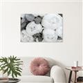 Picture of White Blooms _GroupedProduct_Rectangle_Landscape_Photography _GroupedProduct_Rectangle_Landscape_Unframed_Print_Only_