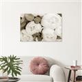 Picture of White Blooms _GroupedProduct_Rectangle_Landscape_Photography _GroupedProduct_Rectangle_Landscape_Unframed_Print_Only_