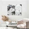 Picture of White Blooms _GroupedProduct_Rectangle_Landscape_Photography _GroupedProduct_Rectangle_Landscape_Unframed_Print_Only_