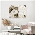 Picture of White Blooms _GroupedProduct_Rectangle_Landscape_Photography _GroupedProduct_Rectangle_Landscape_Unframed_Print_Only_