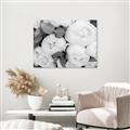 Picture of White Blooms _GroupedProduct_Rectangle_Landscape_Photography _GroupedProduct_Rectangle_Landscape_Unframed_Print_Only_