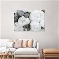 Picture of White Blooms _GroupedProduct_Rectangle_Landscape_Photography _GroupedProduct_Rectangle_Landscape_Unframed_Print_Only_