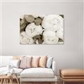 Picture of White Blooms _GroupedProduct_Rectangle_Landscape_Photography _GroupedProduct_Rectangle_Landscape_Unframed_Print_Only_
