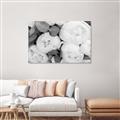 Picture of White Blooms _GroupedProduct_Rectangle_Landscape_Photography _GroupedProduct_Rectangle_Landscape_Unframed_Print_Only_
