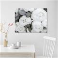 Picture of White Blooms _GroupedProduct_Rectangle_Landscape_Photography _GroupedProduct_Rectangle_Landscape_Unframed_Print_Only_
