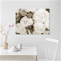 Picture of White Blooms _GroupedProduct_Rectangle_Landscape_Photography _GroupedProduct_Rectangle_Landscape_Unframed_Print_Only_