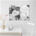 Picture of White Blooms _GroupedProduct_Rectangle_Landscape_Photography _GroupedProduct_Rectangle_Landscape_Unframed_Print_Only_