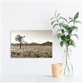 Picture of One Tree _GroupedProduct_Rectangle_Landscape_Photography _GroupedProduct_Rectangle_Landscape_Unframed_Print_Only_
