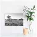 Picture of One Tree _GroupedProduct_Rectangle_Landscape_Photography _GroupedProduct_Rectangle_Landscape_Unframed_Print_Only_