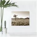 Picture of One Tree _GroupedProduct_Rectangle_Landscape_Photography _GroupedProduct_Rectangle_Landscape_Unframed_Print_Only_