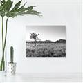 Picture of One Tree _GroupedProduct_Rectangle_Landscape_Photography _GroupedProduct_Rectangle_Landscape_Unframed_Print_Only_