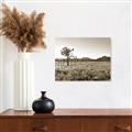 Picture of One Tree _GroupedProduct_Rectangle_Landscape_Photography _GroupedProduct_Rectangle_Landscape_Unframed_Print_Only_