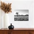 Picture of One Tree _GroupedProduct_Rectangle_Landscape_Photography _GroupedProduct_Rectangle_Landscape_Unframed_Print_Only_