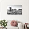 Picture of One Tree _GroupedProduct_Rectangle_Landscape_Photography _GroupedProduct_Rectangle_Landscape_Unframed_Print_Only_