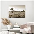 Picture of One Tree _GroupedProduct_Rectangle_Landscape_Photography _GroupedProduct_Rectangle_Landscape_Unframed_Print_Only_