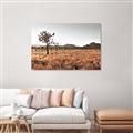 Picture of One Tree _GroupedProduct_Rectangle_Landscape_Photography _GroupedProduct_Rectangle_Landscape_Unframed_Print_Only_