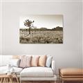 Picture of One Tree _GroupedProduct_Rectangle_Landscape_Photography _GroupedProduct_Rectangle_Landscape_Unframed_Print_Only_