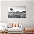 Picture of One Tree _GroupedProduct_Rectangle_Landscape_Photography _GroupedProduct_Rectangle_Landscape_Unframed_Print_Only_