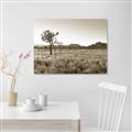 Picture of One Tree _GroupedProduct_Rectangle_Landscape_Photography _GroupedProduct_Rectangle_Landscape_Unframed_Print_Only_