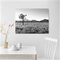 Picture of One Tree _GroupedProduct_Rectangle_Landscape_Photography _GroupedProduct_Rectangle_Landscape_Unframed_Print_Only_