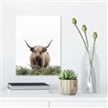 Picture of Cow on the Range _GroupedProduct_Rectangle_Portrait_Photography _GroupedProduct_Rectangle_Portrait_Unframed_Print_Only_