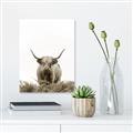 Picture of Cow on the Range _GroupedProduct_Rectangle_Portrait_Photography _GroupedProduct_Rectangle_Portrait_Unframed_Print_Only_