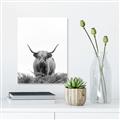 Picture of Cow on the Range _GroupedProduct_Rectangle_Portrait_Photography _GroupedProduct_Rectangle_Portrait_Unframed_Print_Only_