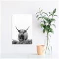 Picture of Cow on the Range _GroupedProduct_Rectangle_Portrait_Photography _GroupedProduct_Rectangle_Portrait_Unframed_Print_Only_