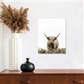 Picture of Cow on the Range _GroupedProduct_Rectangle_Portrait_Photography _GroupedProduct_Rectangle_Portrait_Unframed_Print_Only_