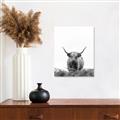 Picture of Cow on the Range _GroupedProduct_Rectangle_Portrait_Photography _GroupedProduct_Rectangle_Portrait_Unframed_Print_Only_