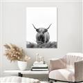Picture of Cow on the Range _GroupedProduct_Rectangle_Portrait_Photography _GroupedProduct_Rectangle_Portrait_Unframed_Print_Only_
