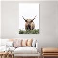 Picture of Cow on the Range _GroupedProduct_Rectangle_Portrait_Photography _GroupedProduct_Rectangle_Portrait_Unframed_Print_Only_