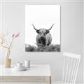 Picture of Cow on the Range _GroupedProduct_Rectangle_Portrait_Photography _GroupedProduct_Rectangle_Portrait_Unframed_Print_Only_