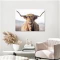 Picture of Shaggy Bull II _GroupedProduct_Rectangle_Landscape_Photography _GroupedProduct_Rectangle_Landscape_Unframed_Print_Only_